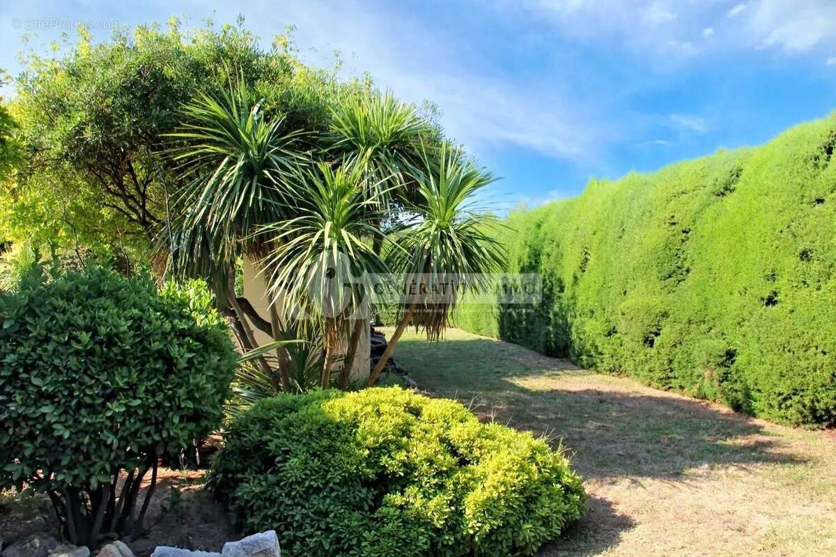 Fontvieille - maison familiale en campagne avec jardin paysagé et piscine - photo 19