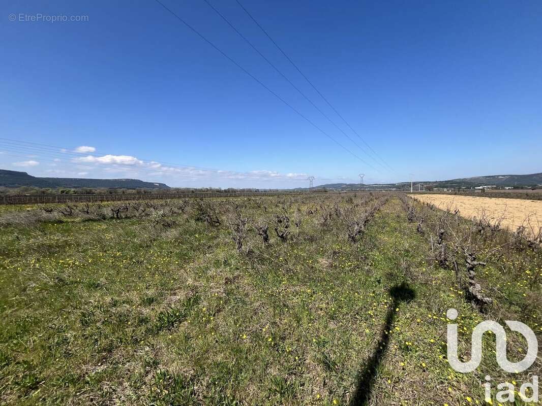 Photo 2 - Terrain à CODOLET