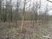 Terrain à ERONDELLE