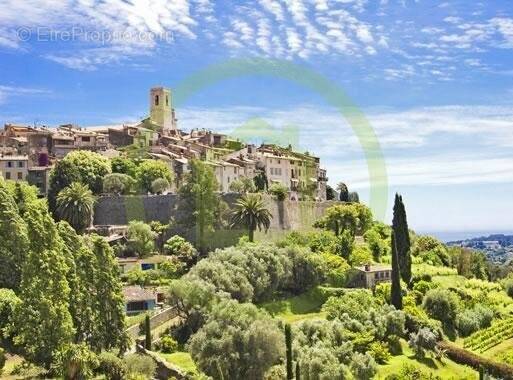 Commerce à LA COLLE-SUR-LOUP