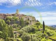 Commerce à LA COLLE-SUR-LOUP