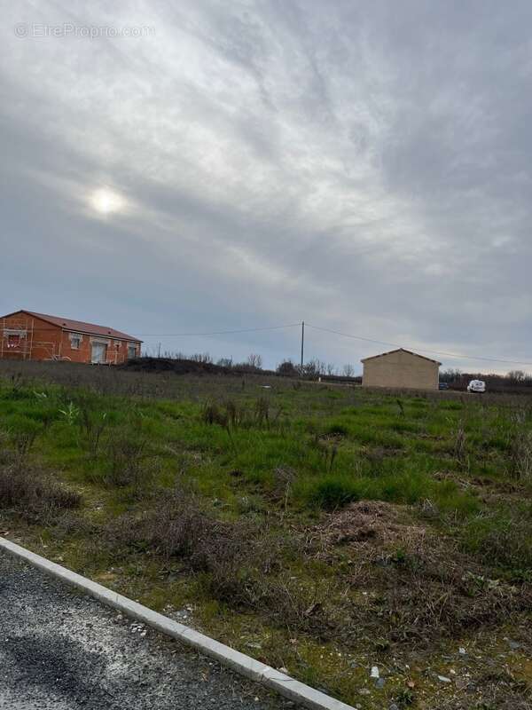 Terrain 655 m² à Montans  - photo 2