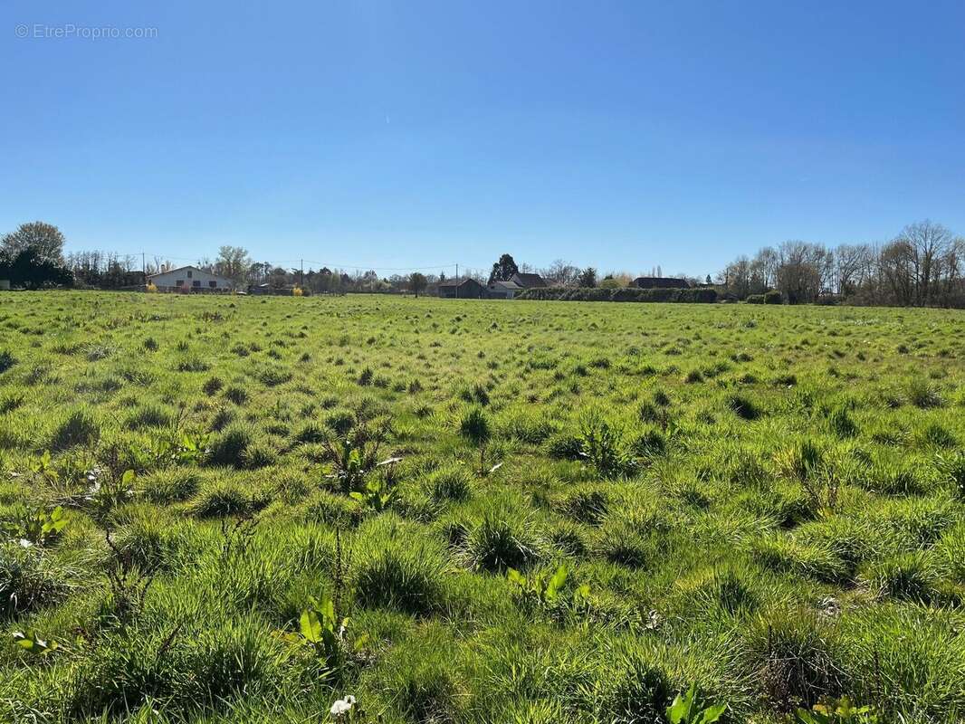 Photo 2 - Terrain à LA FORCE