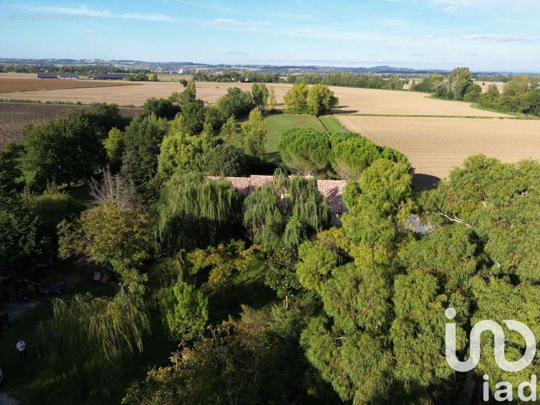 Photo 4 - Maison à REVEL