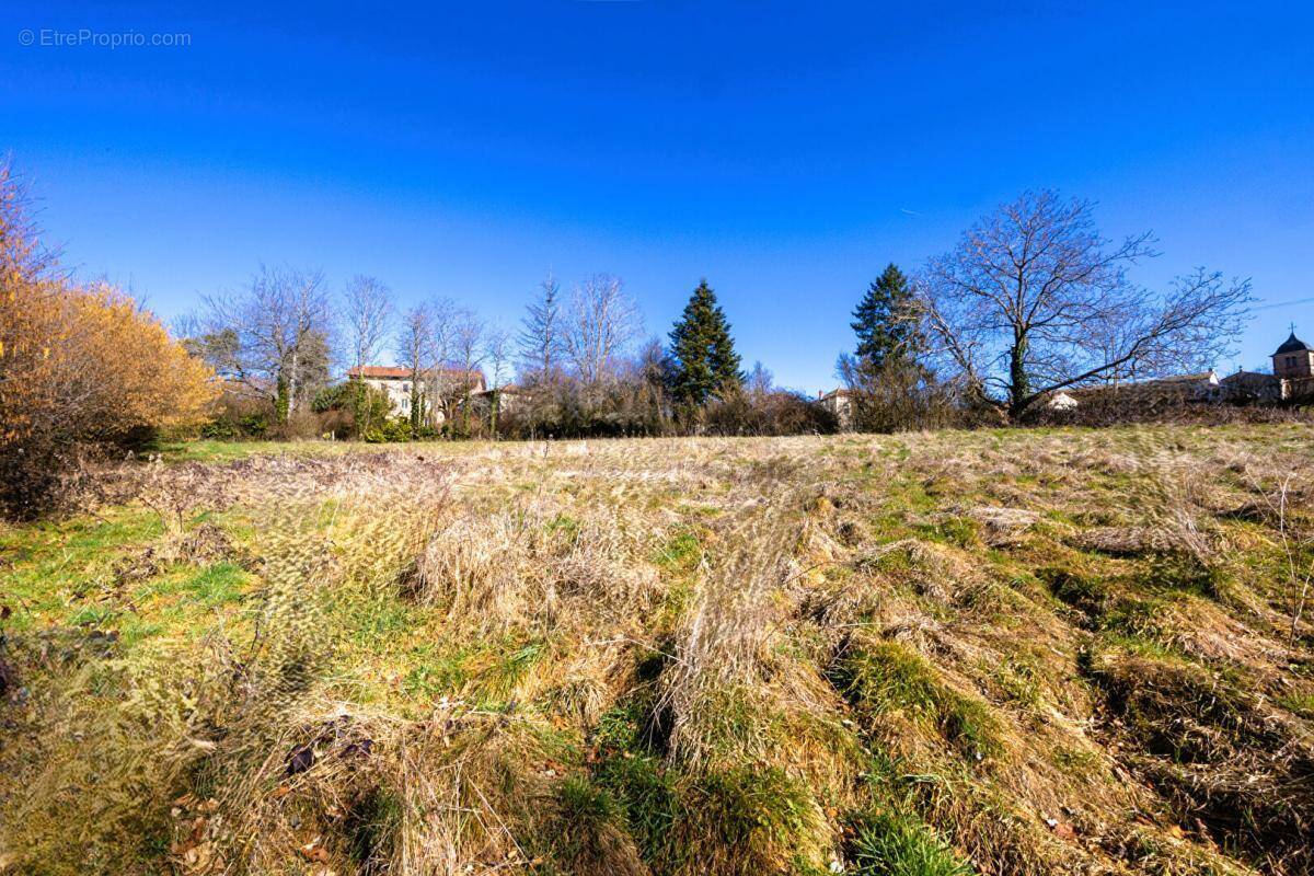Terrain à SAINTE-AGATHE-EN-DONZY