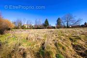Terrain à SAINTE-AGATHE-EN-DONZY