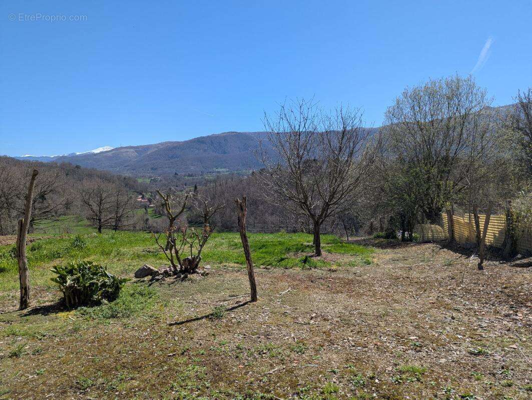 Maison à SERRES-SUR-ARGET