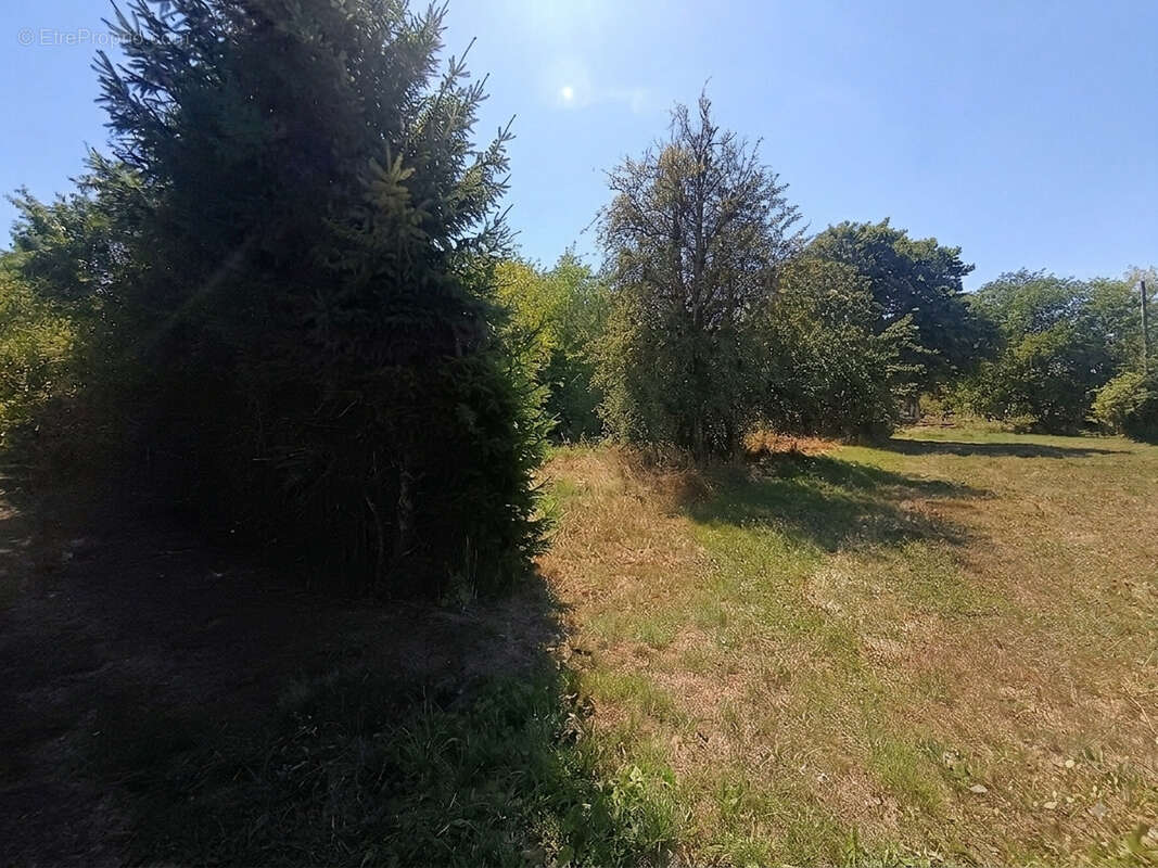 Échavanne : Terrain à bâtir 520 m2 — Cadre idéal proche Santé & grands axes — Idéalement situé proche Belfort, - photo 2