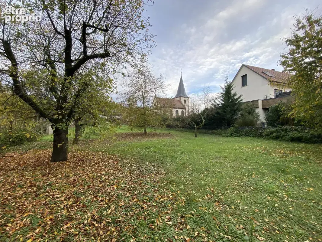 Terrain 1 500 m² à vendre à Breuschwickersheim (67112) - photo 9