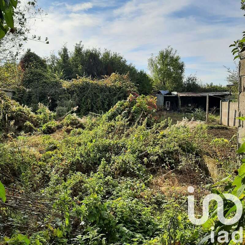 Photo 9 - Appartement à PLONEVEZ-DU-FAOU