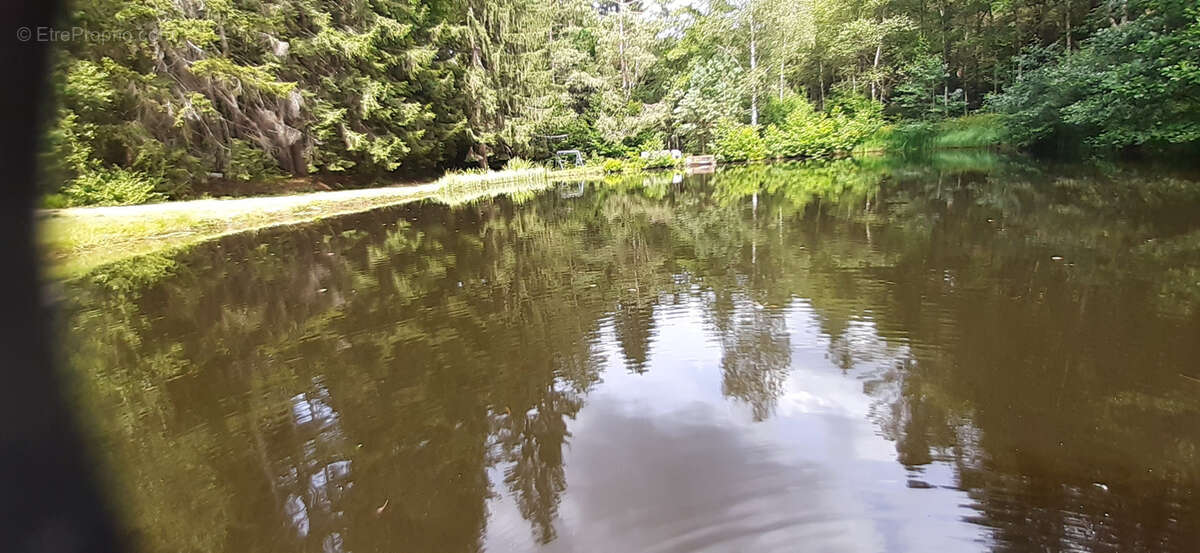 Etang vidangeable sur 0.70 ha avec Maisonnette - photo 4