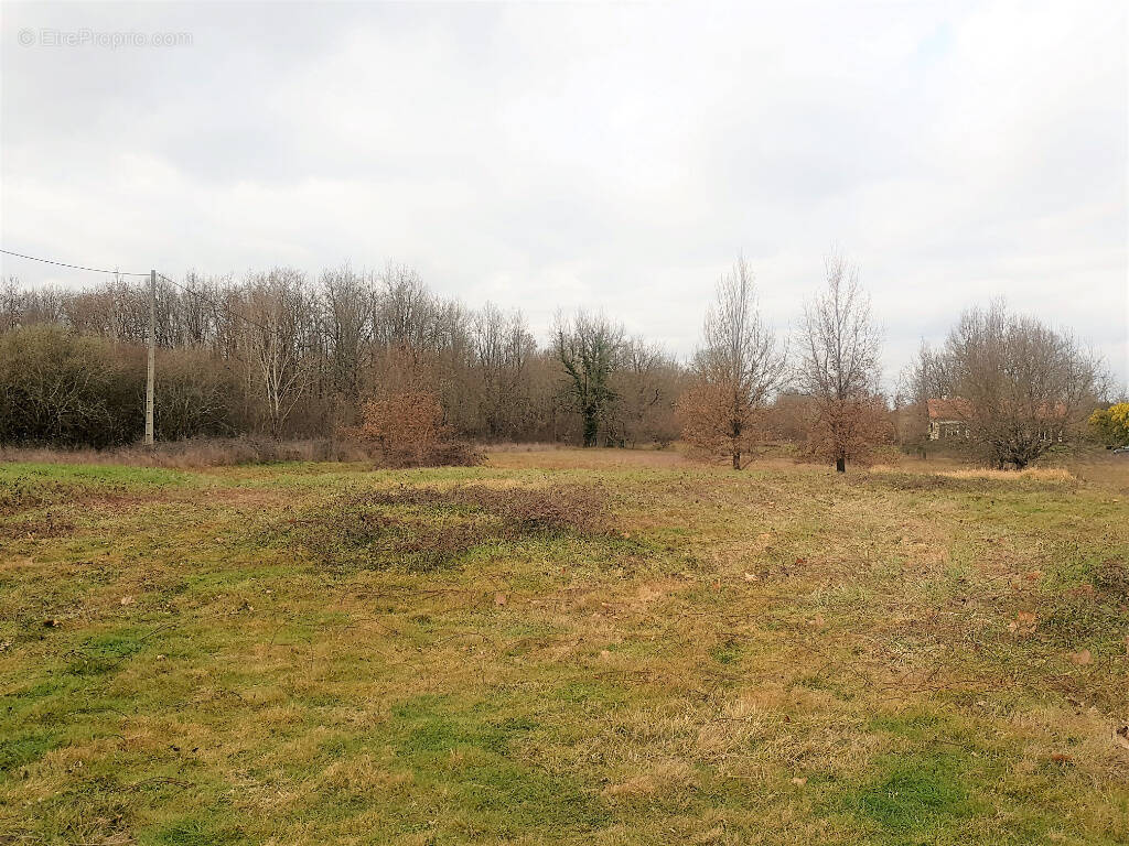 Terrain à DIEUPENTALE