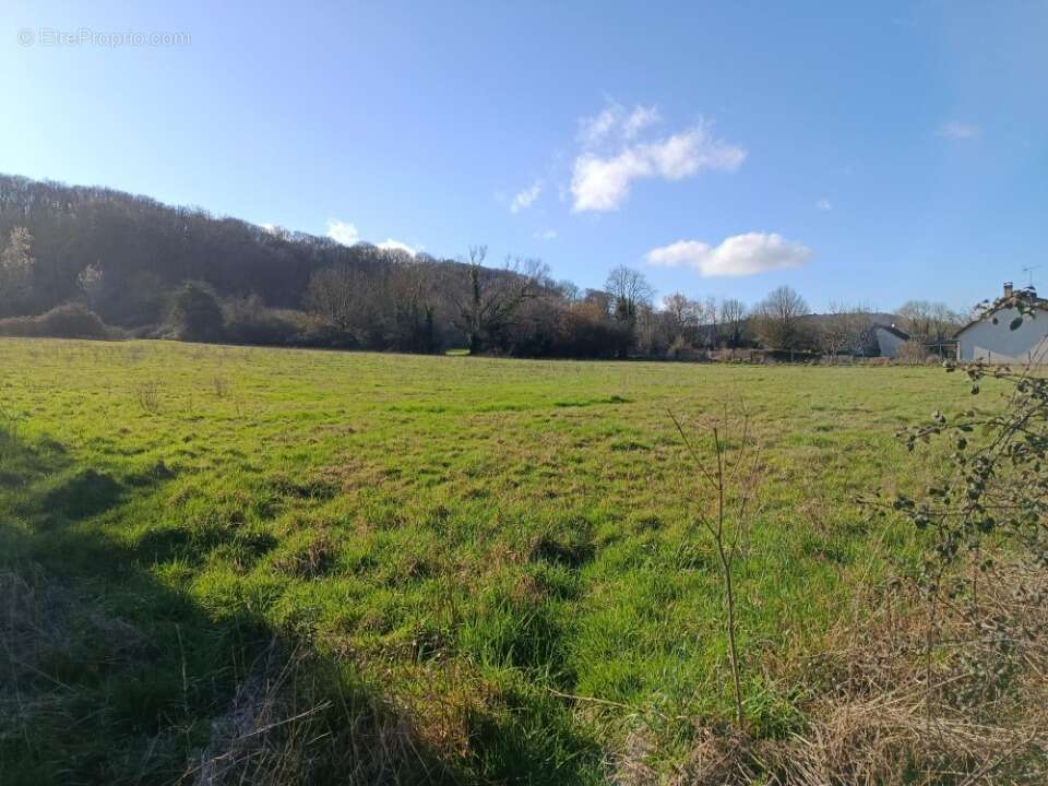 Terrain à TOUTAINVILLE