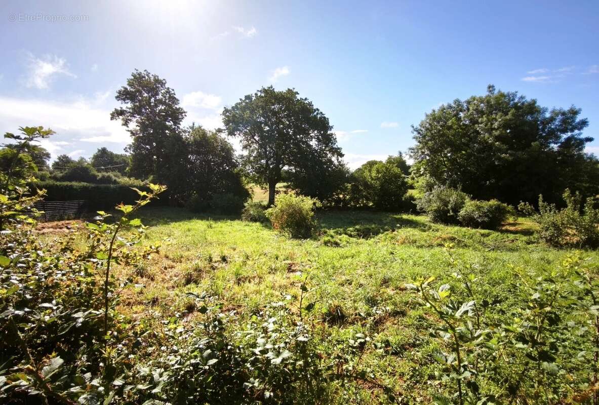 Terrain constructible viabilise - la chapelle bertrand - photo 2