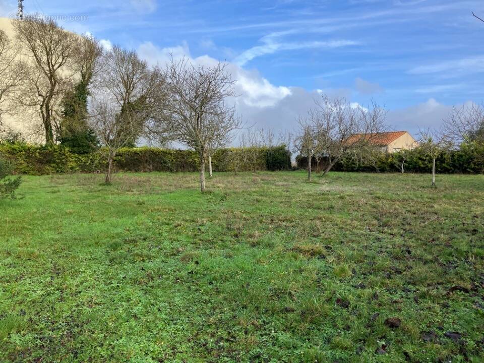 Terrain à SAINT-JEAN-D'ANGELY