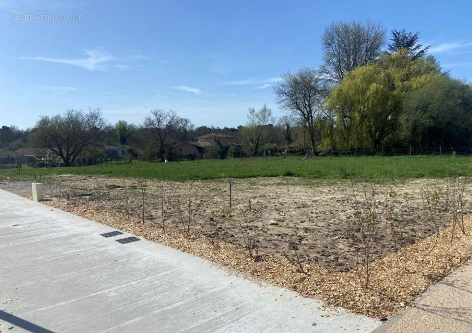 Terrain à LE TAILLAN-MEDOC