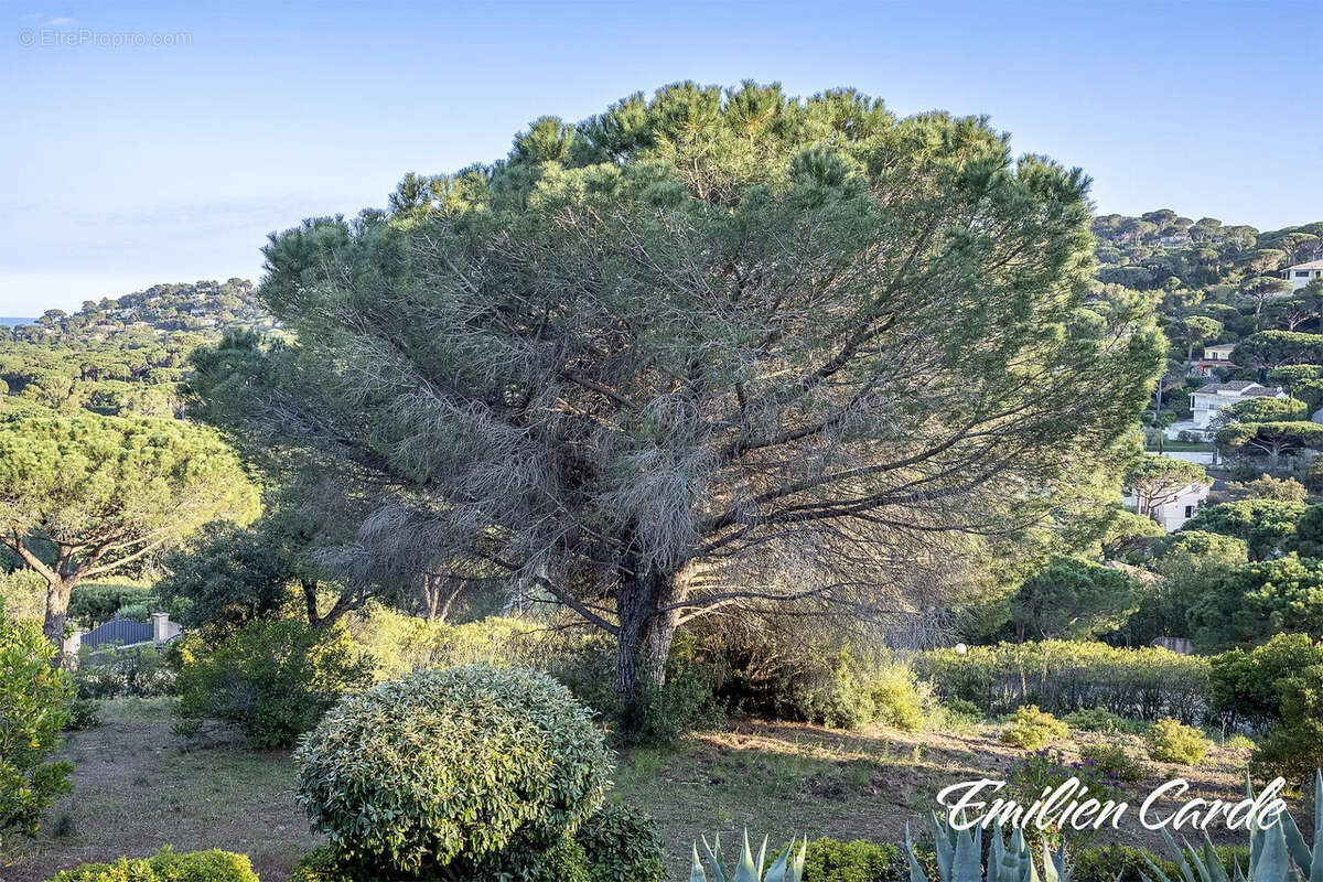 Terrain à SAINTE-MAXIME