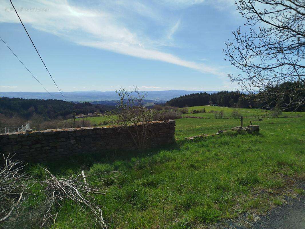 Maison à CHASSIGNOLLES