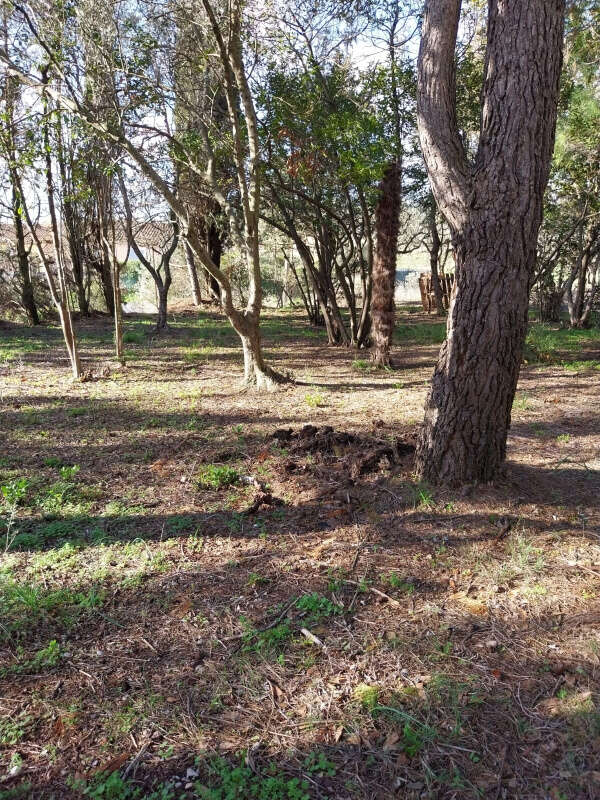 Terrain à OUVEILLAN
