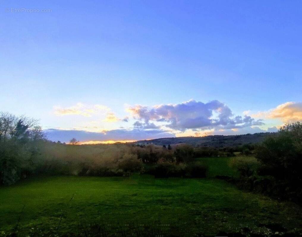 Photo 1 - Terrain à LOCMELAR