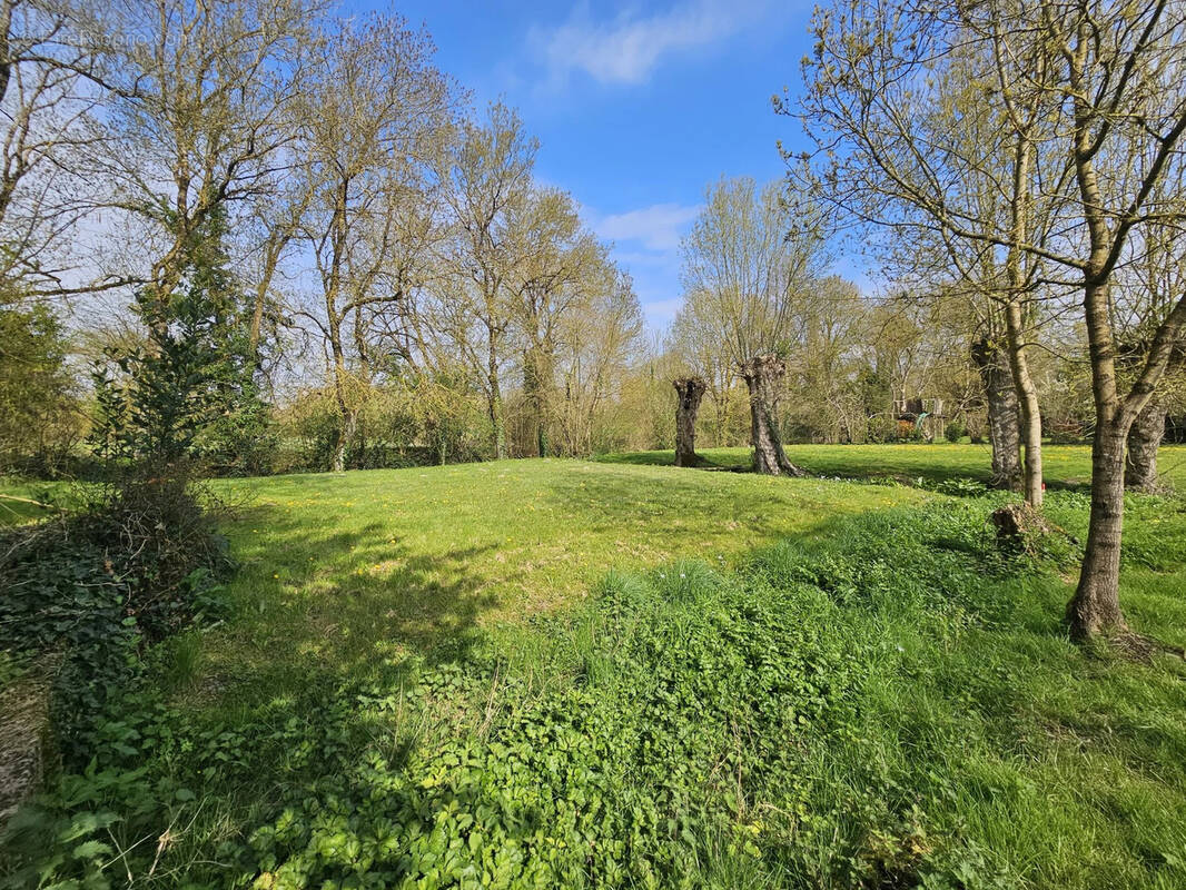 Terrain à SAINT-CHRISTOPHE