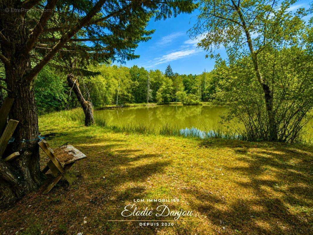 Terrain de loisirs avec étang sur près de 2 hectares - Mur-de-Sologne - photo 4