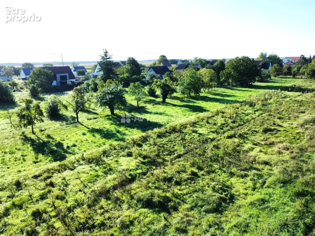 Terrain 276 m² à vendre à Grussenheim (68320) - photo 8