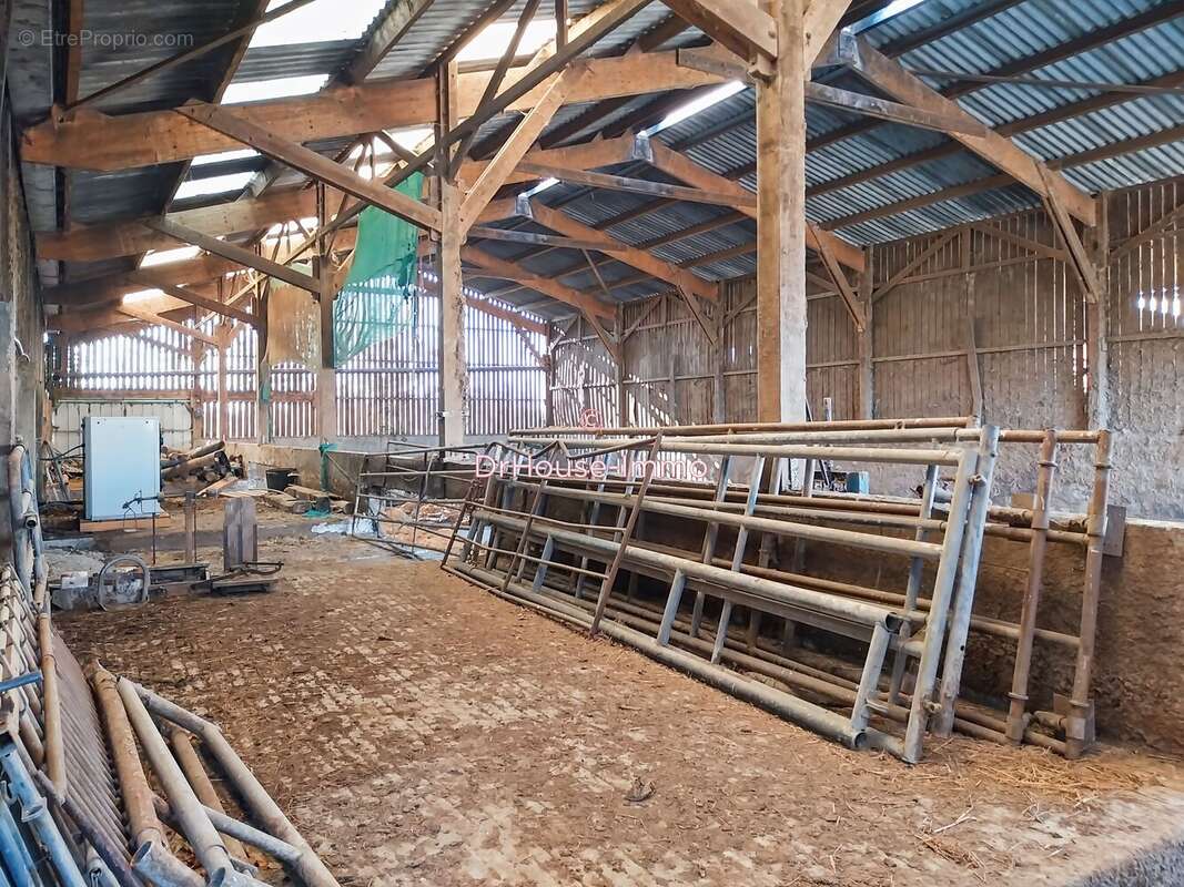 Autre à PERCY-EN-AUGE