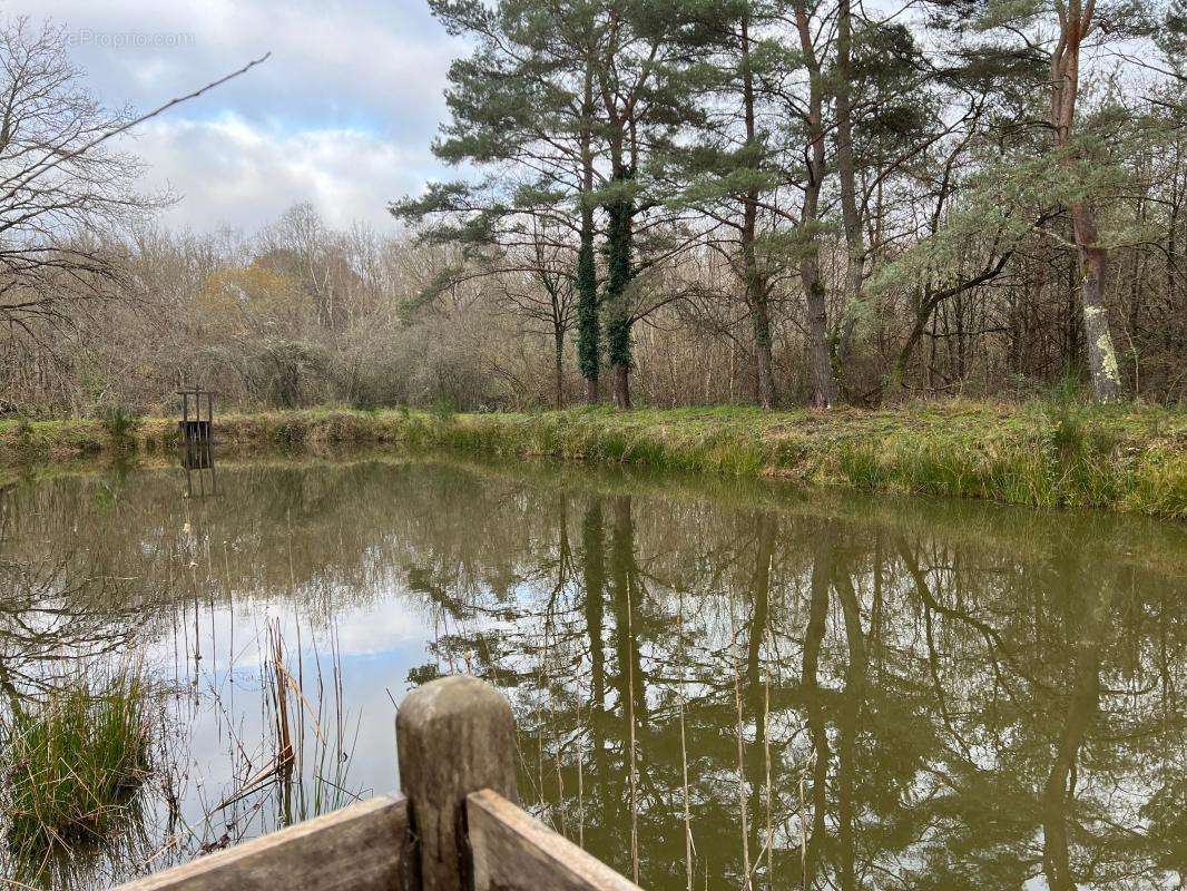 Terrain à VILLEFRANCHE-SUR-CHER