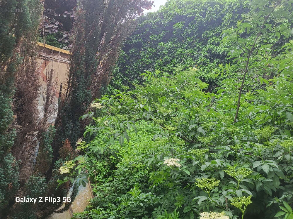 Local commercial 160 m² plus 60 M² jardin - photo 13