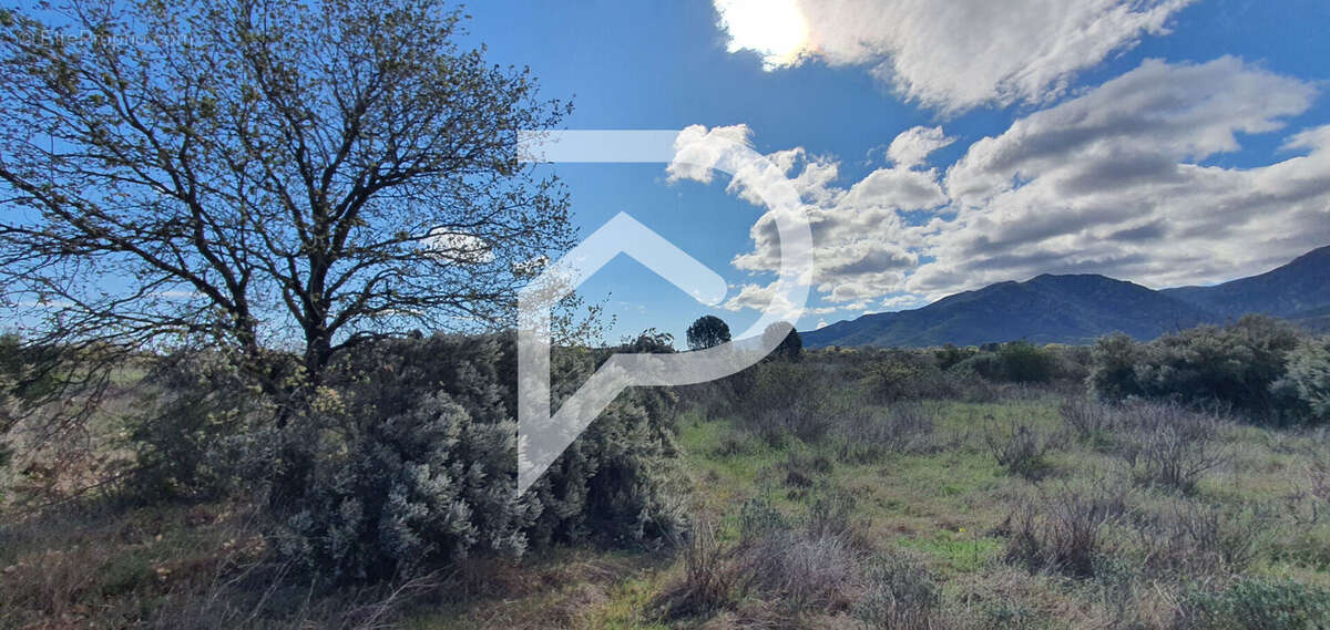 Terrain à SAINT-ANDRE