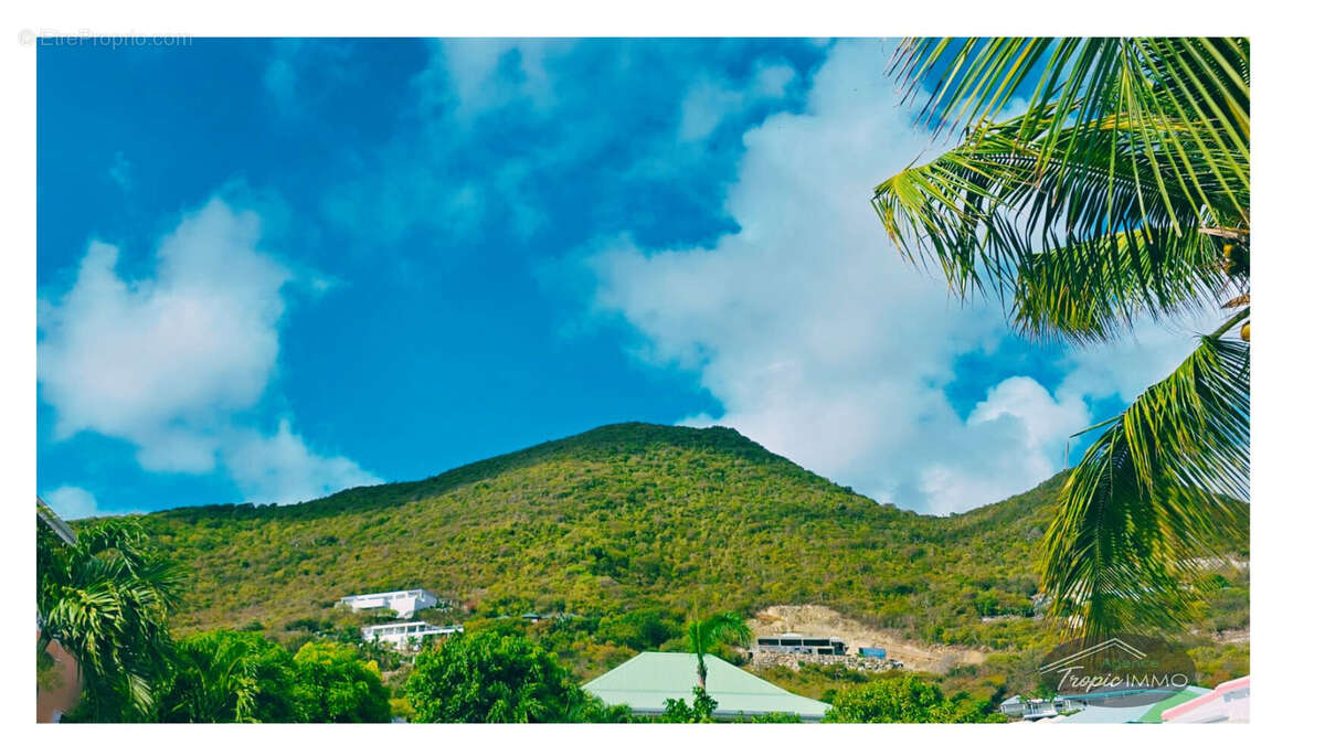 Terrain à SAINT-MARTIN