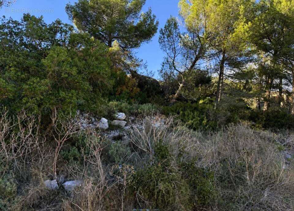 Terrain 204 m² à Le Luc  - photo 2