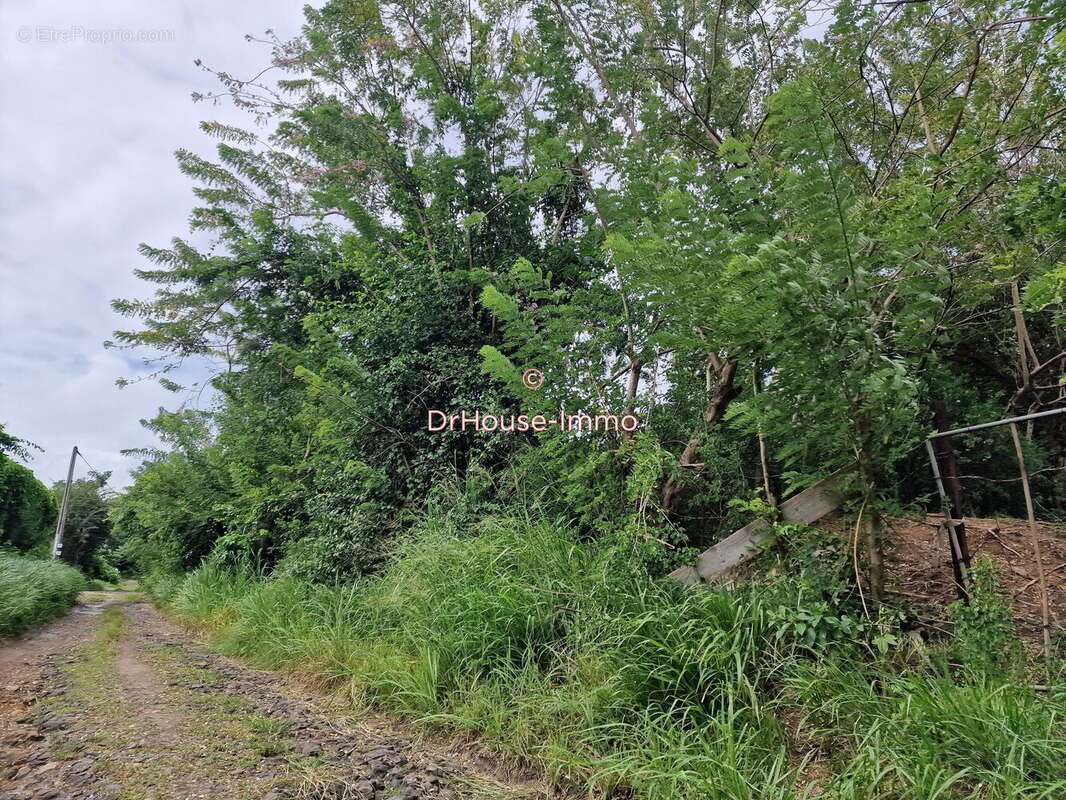 Terrain à LE VAUCLIN