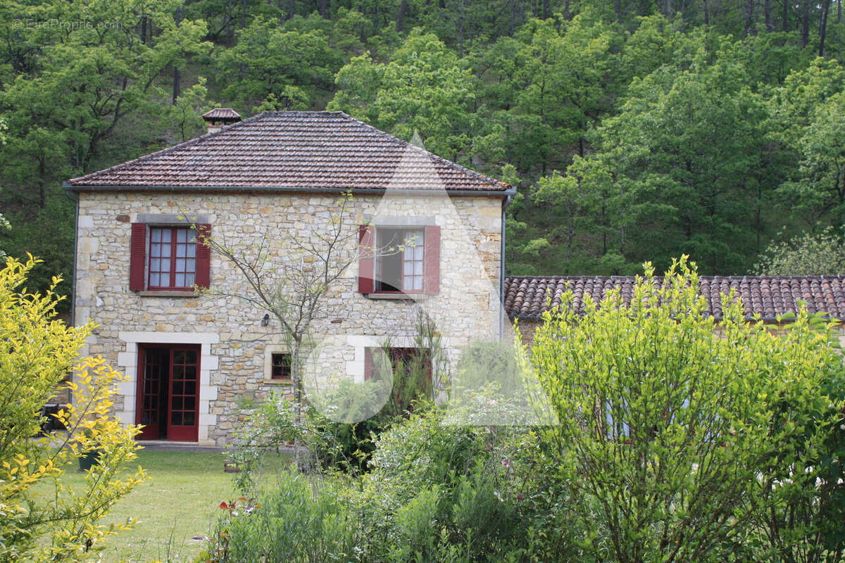 Domaine de caractère en pierre - maison, 3 gîtes, piscine et 5 hectares de forêt privée - photo 8