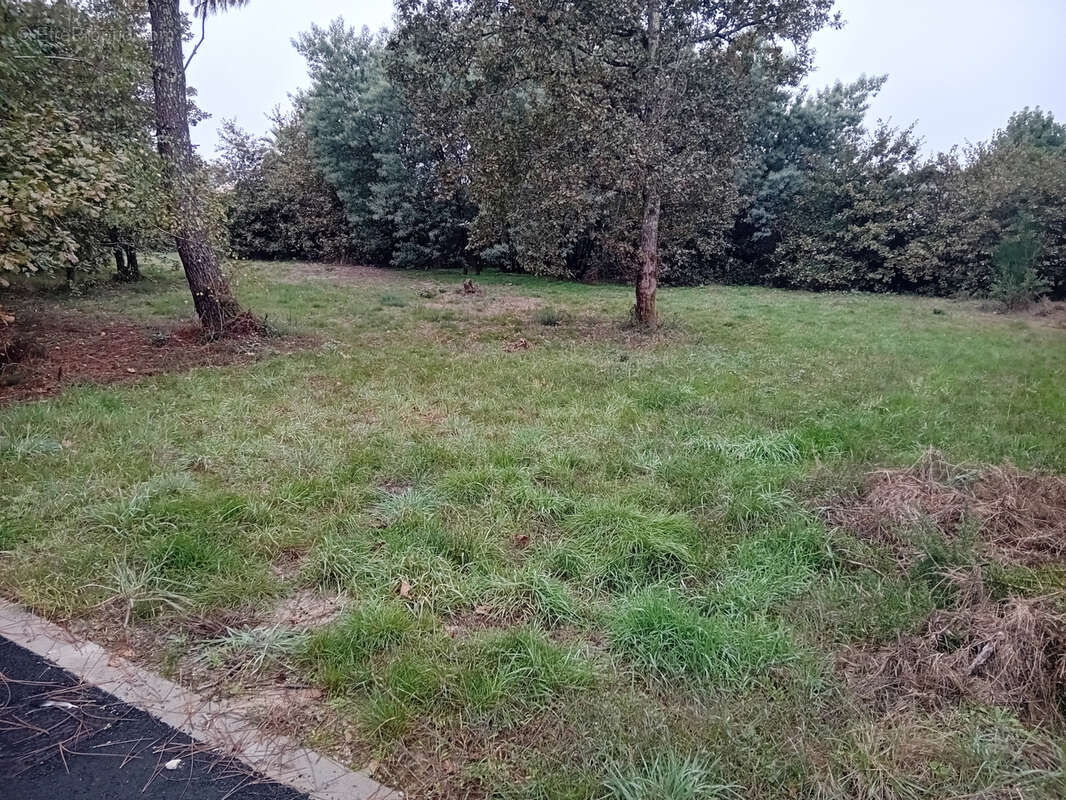 Terrain à GUJAN-MESTRAS