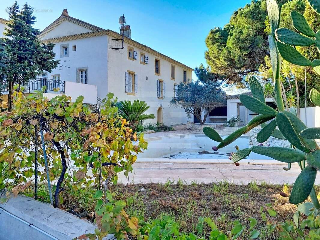 Domaine touristique d'exception dans l'Hérault - photo 6