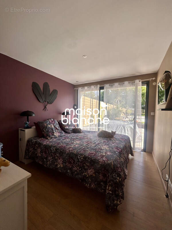 Maison à PELLOUAILLES-LES-VIGNES