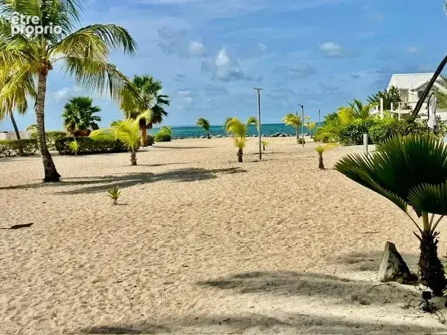 Joli studio baie nettle beach a saint martin - photo 11