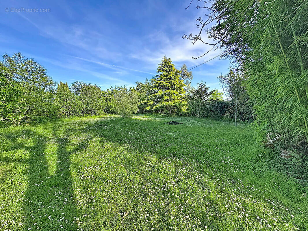 Terrain à MONTLAUR