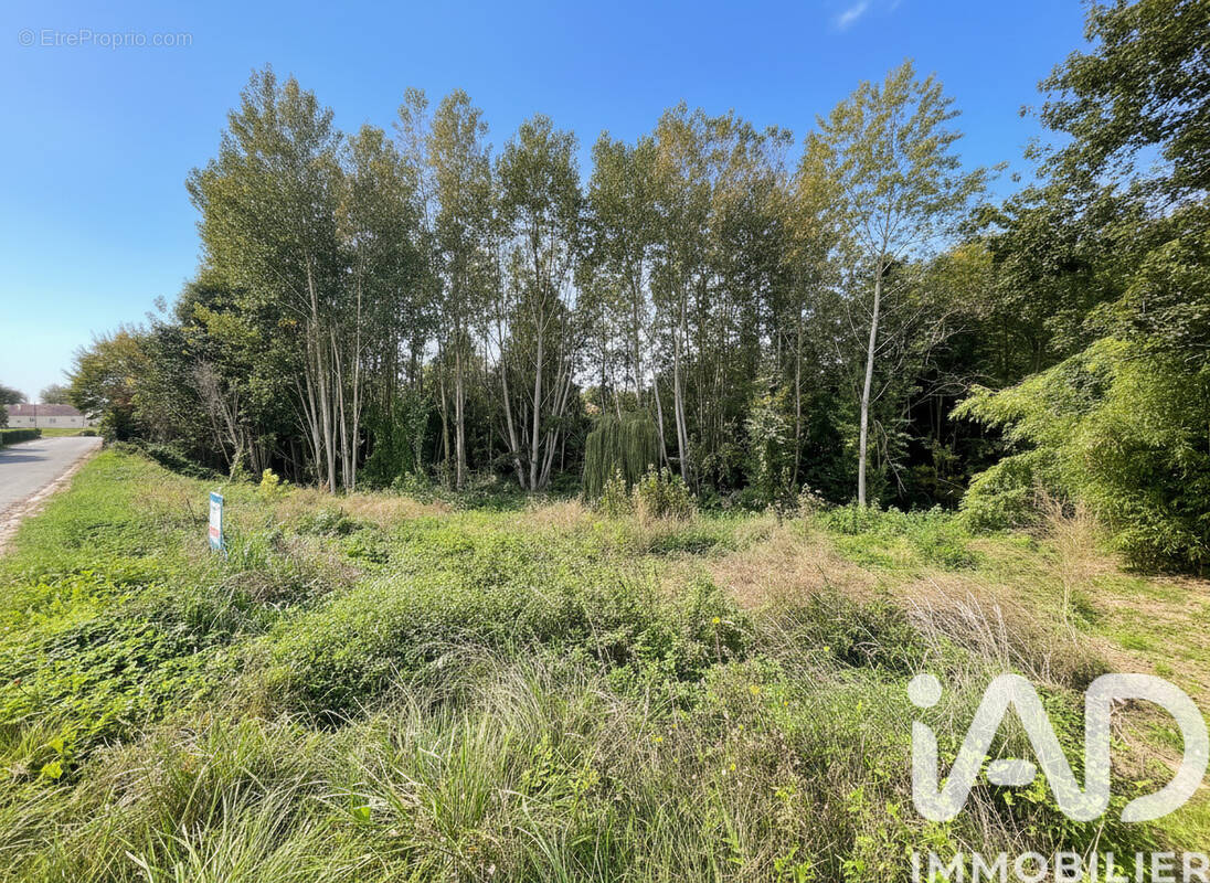 Photo 1 - Terrain à SOMMESOUS
