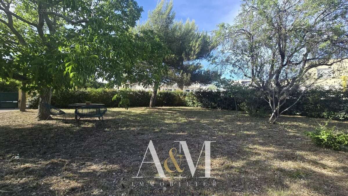 Cournonterral – Maison plain-pied 5 chambres sur grand terrain de 918 m² - photo 6