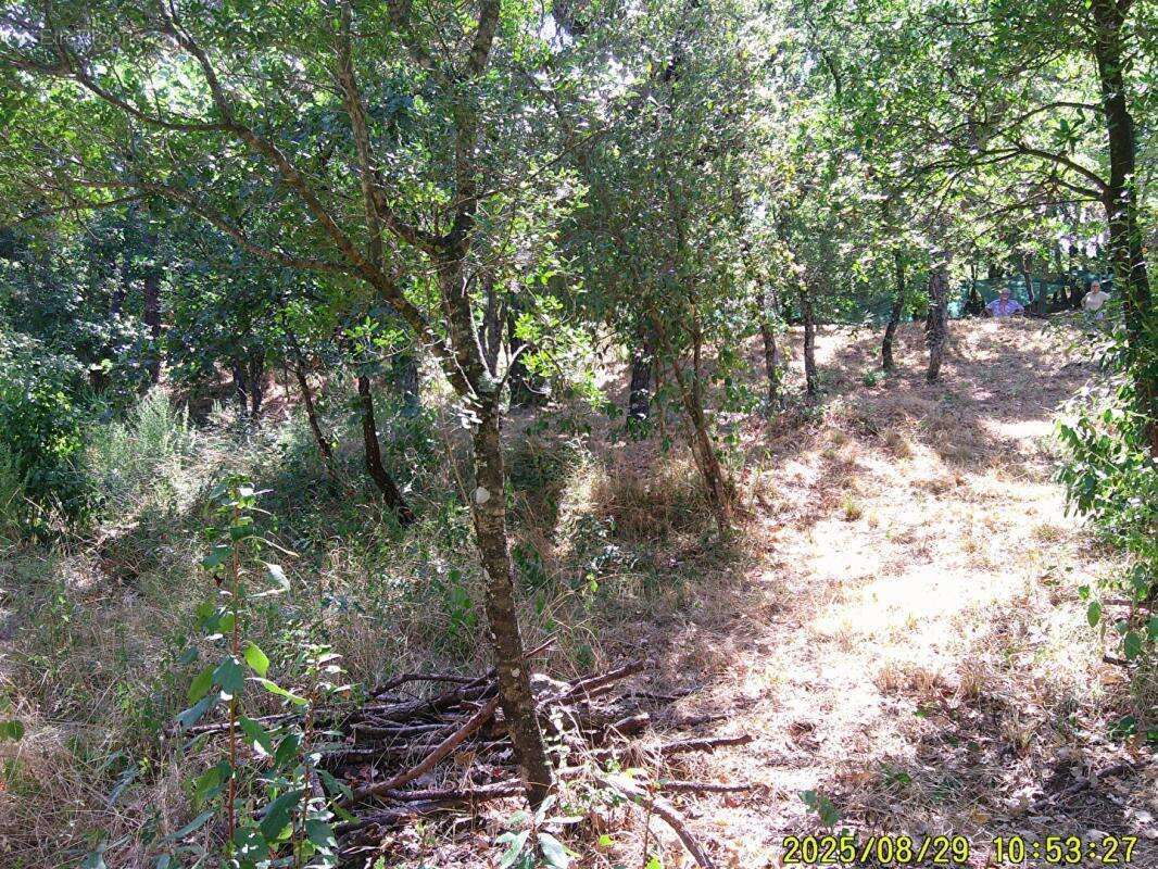 Terrain à LES MAYONS