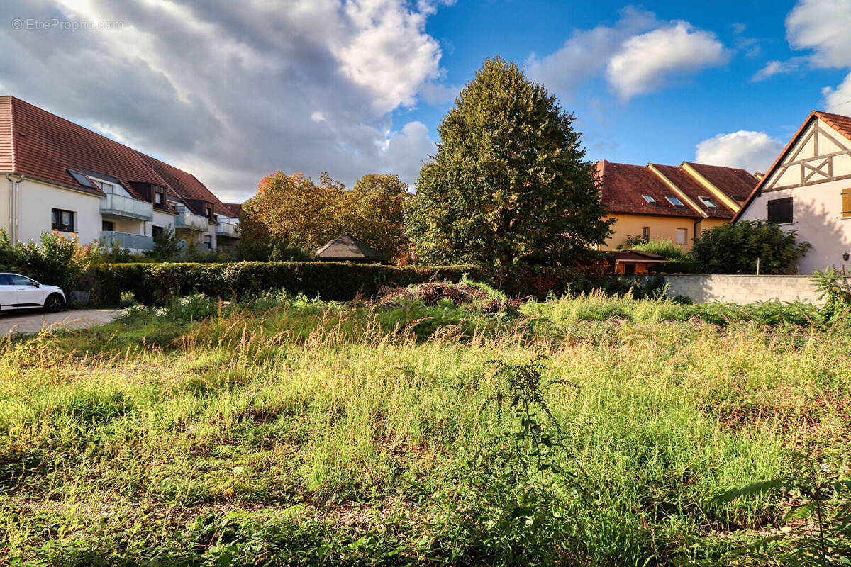 Terrain à SCHILTIGHEIM