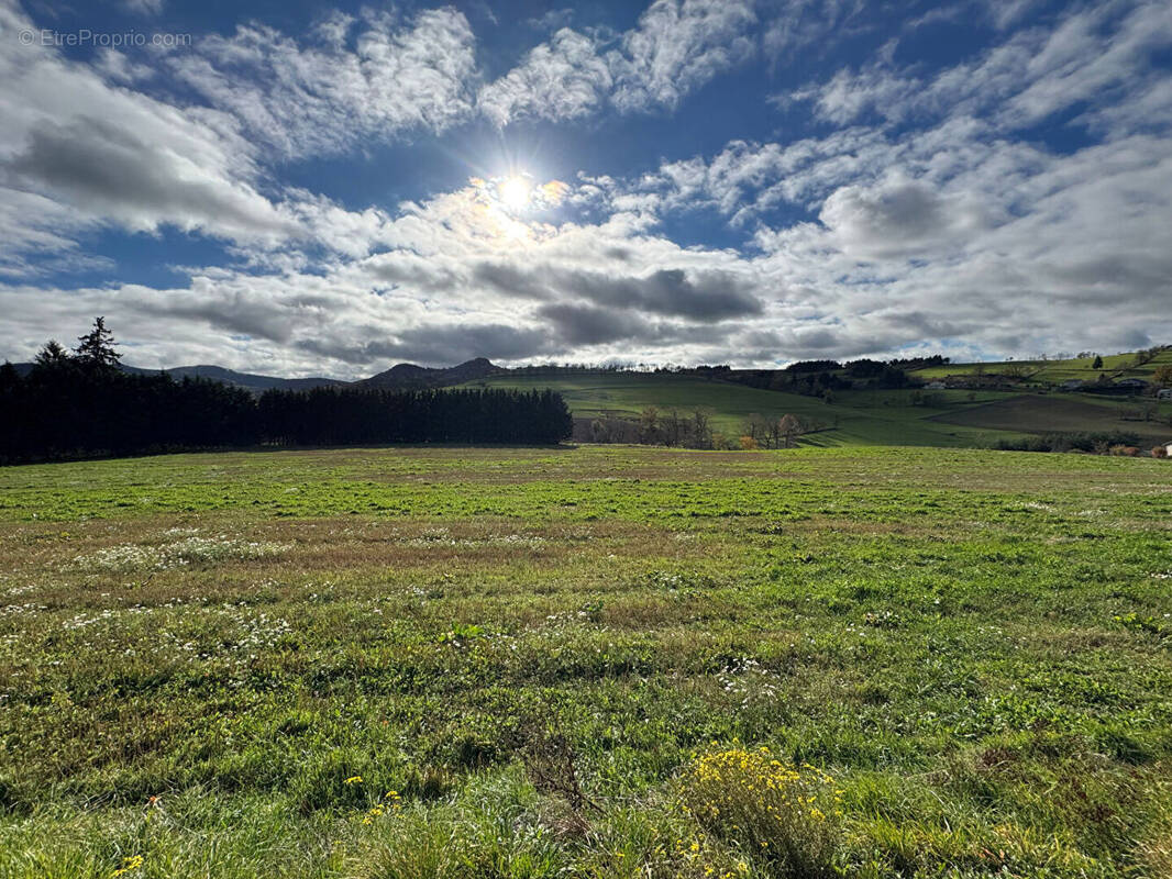 Terrain à YSSINGEAUX