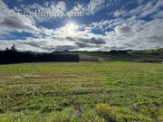Terrain à YSSINGEAUX