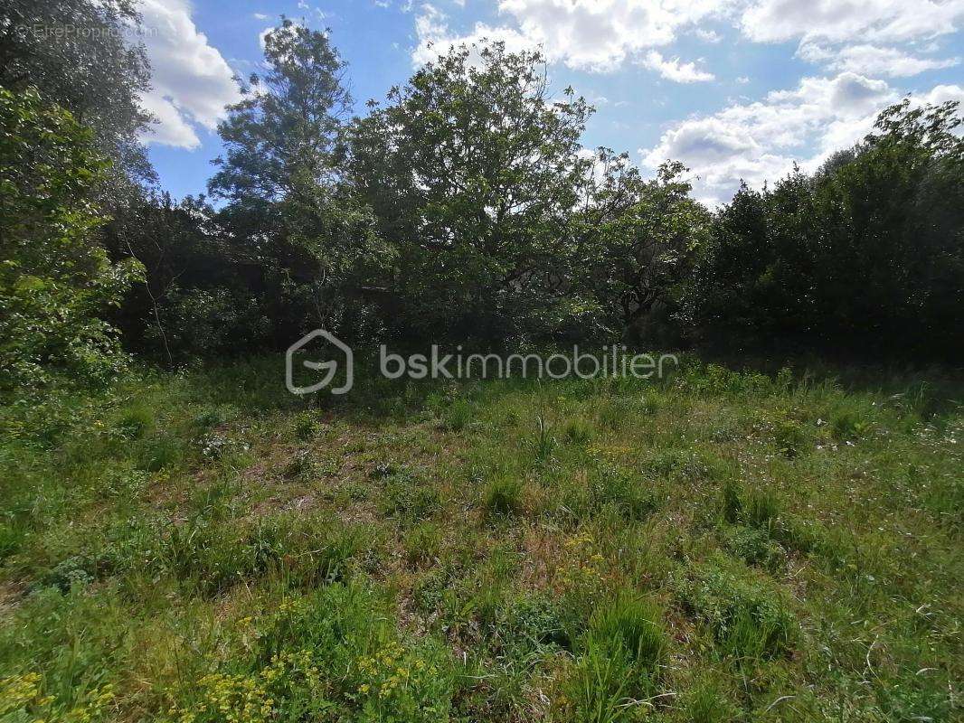 Terrain à VILLENEUVE-LES-AVIGNON