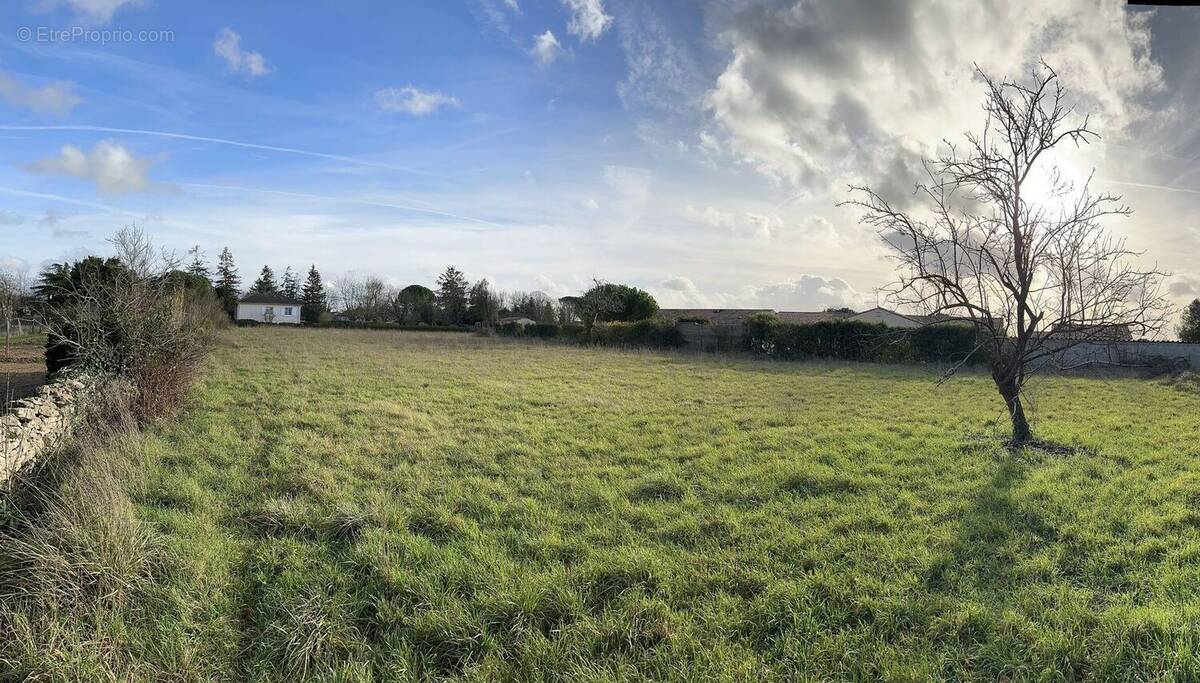 Terrain à PRAHECQ