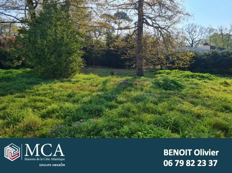 Photo Terrain à Breuillet au prix de 99 000€