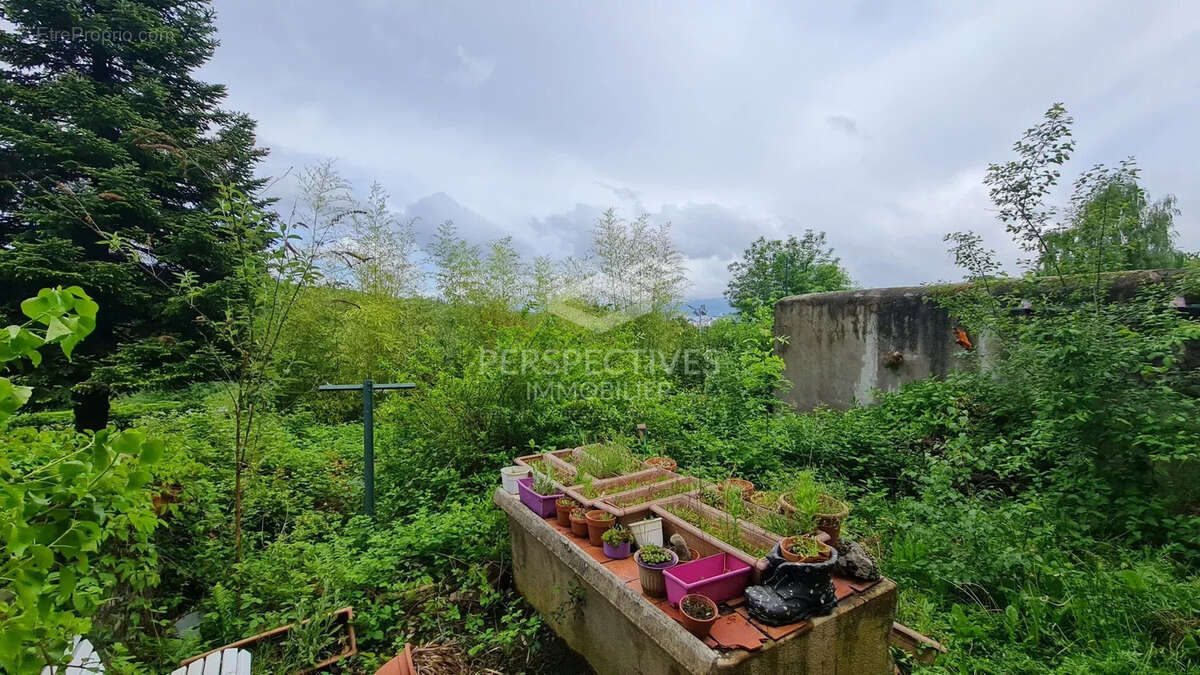 Maison individuelle avec jardin - photo 3